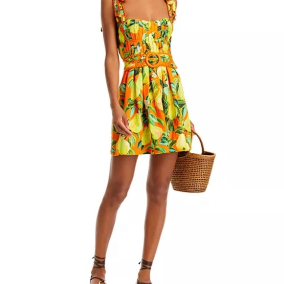 FARM Rio Organic chic pears organic cotton mini dress - Picture 3 of 6